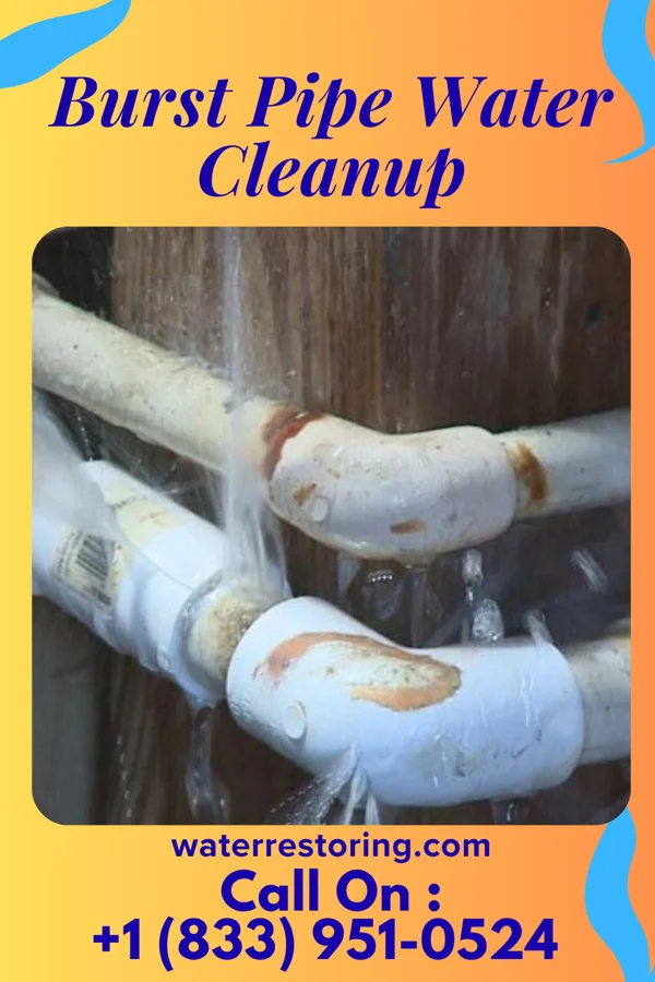 Burst Pipe Water Cleanup in Wyndmere, ND