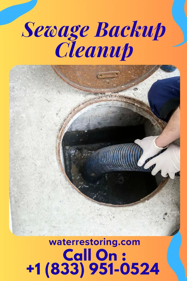 Sewage Backup Cleanup in Wyndmere, ND